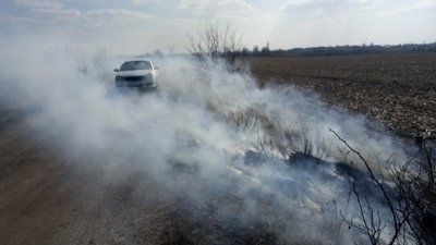 На Житомирщині за добу в семи районах області вигоріли два десятки гектарів сухостою На Житомирщині за добу в семи районах області вигоріли два десятки гектарів сухостою
