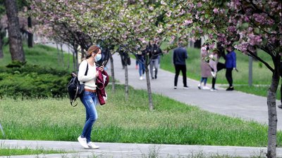 У Києві прибрали оборонні конструкції у парку "Кіото"