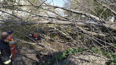 Україну "накрила" пилова буря. Чому так сталося й які наслідки спричинила негода Україну "накрила" пилова буря. Чому так сталося й які наслідки спричинила негода