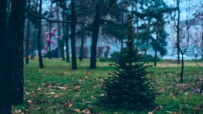 Прогноз погоди: останній тиждень року на Миколаївщині буде теплим