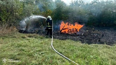 Горить суха трава на Чернігівщині, пожежники гасять вогонь