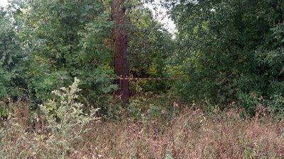 На Сумщині затримали батька 3-річного хлопчика за підозрою у вбивстві