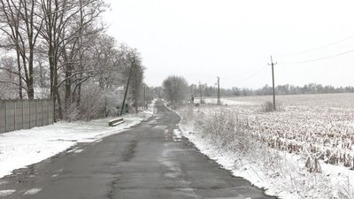 В одному з районів Черкащини — нашестя лисиць В одному з районів Черкащини — нашестя лисиць