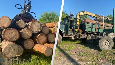 Автомобіль з нелегальною деревиною затримали поліцейські у Житомирському районі