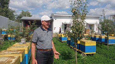 Пасічник з Тернопільщини 45 років займається бджільництвом Пасічник з Тернопільщини 45 років займається бджільництвом