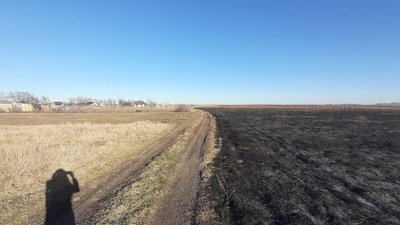 Вигоріло три гектари поля: у селі Количівка, що біля Чернігова, спалахнула пожежа через необережне поводження з вогнем Вигоріло три гектари поля: у селі Количівка, що біля Чернігова, спалахнула пожежа через необережне поводження з вогнем