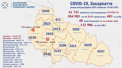 На Закарпатті за добу виявили 48 нових випадків COVID-19