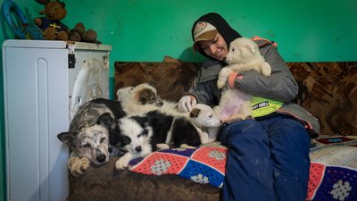 "А якби ми не встигли?". Зооволонтерка врятувала з Покровська собаку та вісім цуценят