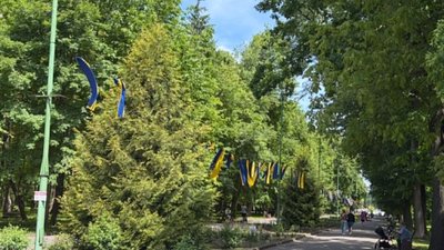 парк, дерева, алея