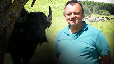 Тварини, ферма, Роман Яковин, Івано-Франківщина