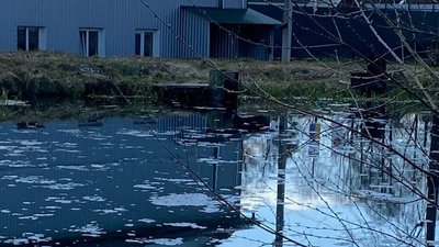 "Напір зменшився, а вода помутніла": що з Оконськими джерелами на Волині "Напір зменшився, а вода помутніла": що з Оконськими джерелами на Волині