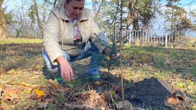 У Черкасах висадили дерева на знак підтримки окупованих Олешок У Черкасах висадили дерева на знак підтримки окупованих Олешок