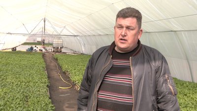 У черкаському фермерському господарстві сіють овочеві культури У черкаському фермерському господарстві сіють овочеві культури