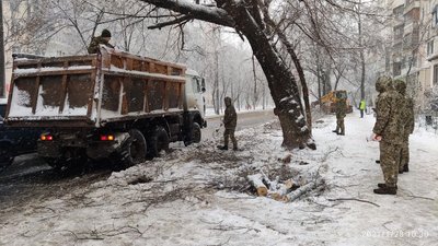 В Одесі снігопад повалив майже 900 дерев