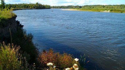 У Десні у Менському районі знайшли тіло 70-річного чернігівця