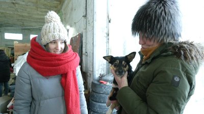 Львів'янка прийшла у "Домівку" забрати на перетримку песика Львів'янка прийшла у "Домівку" забрати на перетримку песика