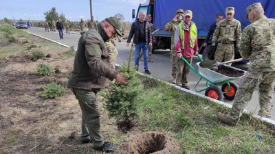 Алея Едельвейс. На Житомирщині висадили 59 дерев у пам'ять про загиблих бійців прикарпатської "десятки"