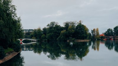 Погода в Івано-Франківську та області 23 жовтня, довкілля