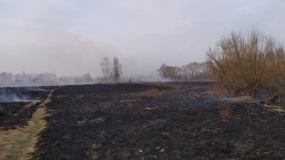 За добу на Прикарпатті зафіксували 41 пожежу сухої трави За добу на Прикарпатті зафіксували 41 пожежу сухої трави