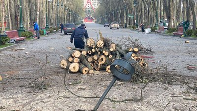 Харківський парк Горького прибирають після російських обстрілів