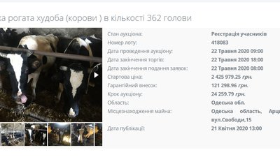 Мін'юст продає на аукціоні собак, корів та індиків. Що кажуть зоозахисники Мін'юст продає на аукціоні собак, корів та індиків. Що кажуть зоозахисники