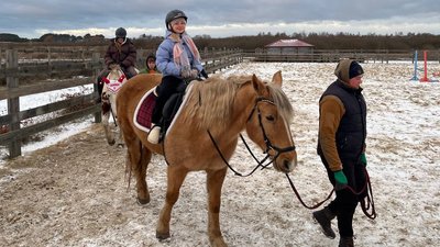"Дають можливість розрядитися": як коні допомагають в реабілітації військових в Луцькій громаді "Дають можливість розрядитися": як коні допомагають в реабілітації військових в Луцькій громаді