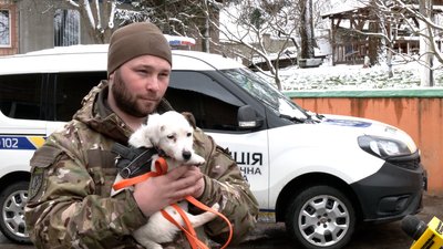 Як у поліції Рівного тренують шукати наркотики цуценя породи джек-рассел-тер'єр Як у поліції Рівного тренують шукати наркотики цуценя породи джек-рассел-тер'єр