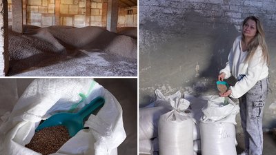 На Кіровоградщині зменшили посівні площі гречки. Яку ціну прогнозують На Кіровоградщині зменшили посівні площі гречки. Яку ціну прогнозують