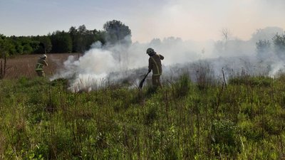 В Луцькому районі згоріло два гектари поля. Палія шукають В Луцькому районі згоріло два гектари поля. Палія шукають