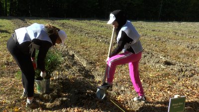На Івано-Франківщині відбулася екоакція "Олімпійський ліс" На Івано-Франківщині відбулася екоакція "Олімпійський ліс"