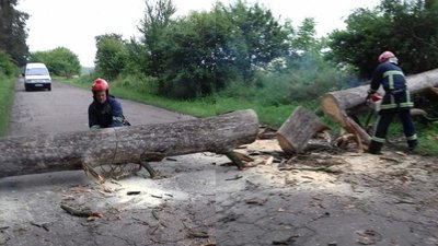 Рівненщину накрила негода: дерава на хатах і дорогах, підтоплення і села без світла Рівненщину накрила негода: дерава на хатах і дорогах, підтоплення і села без світла