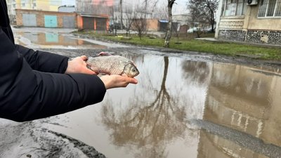 Челендж безбар’єрності: вулиця Ветеринарна Челендж безбар’єрності: вулиця Ветеринарна