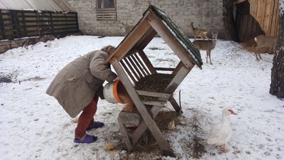 Віта Бачинська годує тварин Віта Бачинська годує тварин