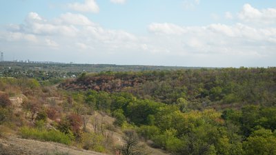 "Така синергія з природою": у Запоріжжі табун коней гуляє містом. Що відомо "Така синергія з природою": у Запоріжжі табун коней гуляє містом. Що відомо
