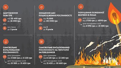 Штрафи для паліїв сухої рослинності Штрафи для паліїв сухої рослинності
