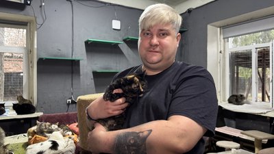 Як готують четвертий благодійний "Пухнастий календар" від притулку DimPets
