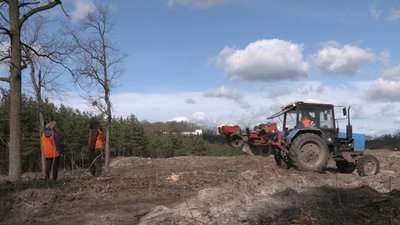 Черкаські лісівники також висаджують сіянці за допомогою техніки Черкаські лісівники також висаджують сіянці за допомогою техніки