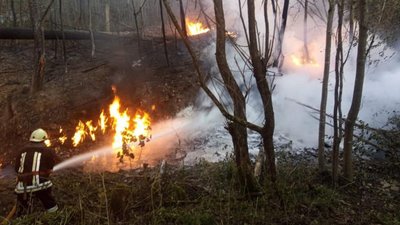 Поблизу села Стримба на Івано-Франківщині вибухнув нафтопровід. Травмувалися люди Поблизу села Стримба на Івано-Франківщині вибухнув нафтопровід. Травмувалися люди