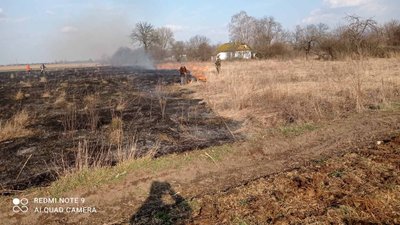 На Житомирщині протягом доби виникло 9 пожеж сухостою. Опіки отримали 3 людини На Житомирщині протягом доби виникло 9 пожеж сухостою. Опіки отримали 3 людини