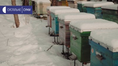 Переїхали в село та зайнялися бджільництвом: історія дауншифтерів із Сумщини Переїхали в село та зайнялися бджільництвом: історія дауншифтерів із Сумщини