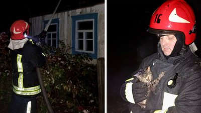 врятували котика на пожежі, котик, пожежа, рятувальники, багатодітна сім'я