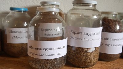 "Мені це подобається та приносить задоволення": історія лісівниці з Вінниччини "Мені це подобається та приносить задоволення": історія лісівниці з Вінниччини