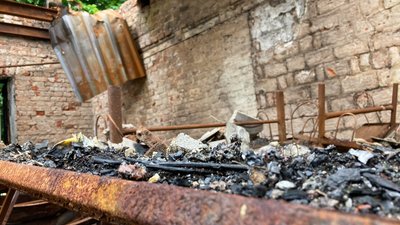 Барвінкове Барвінкове