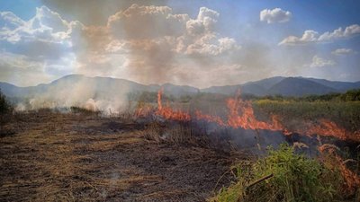За добу на Закарпатті пожежники гасили 12 загорань сміття, сухої трави та чагарників