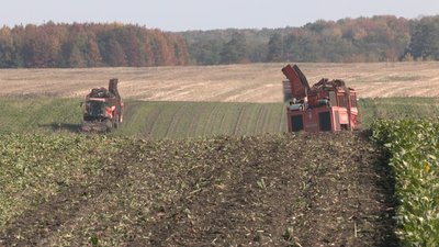 Дві третини площ ще не опрацьовані: як на Волині триває збір урожаю Дві третини площ ще не опрацьовані: як на Волині триває збір урожаю