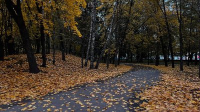 Парк «Перемога» Черкаси