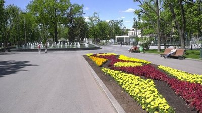 "Поводилися негідно": охоронців, які поконфліктували з відвідувачем саду Шевченка, покарали