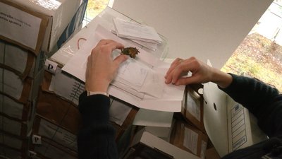 У Прикарпатський національний університет перевезли один з найбільших в Україні гербаріїв У Прикарпатський національний університет перевезли один з найбільших в Україні гербаріїв
