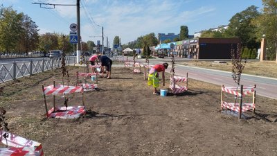 У Кропивницькому саджанці на Алеї Героїв поливатимемо що два дні