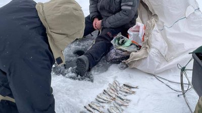 рибпатруль, риба, Дніпропетровщина